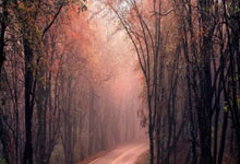 钢铁意志铸就奇迹！尤文图斯客场扼杀曼城，欧冠四强名单再添传奇！