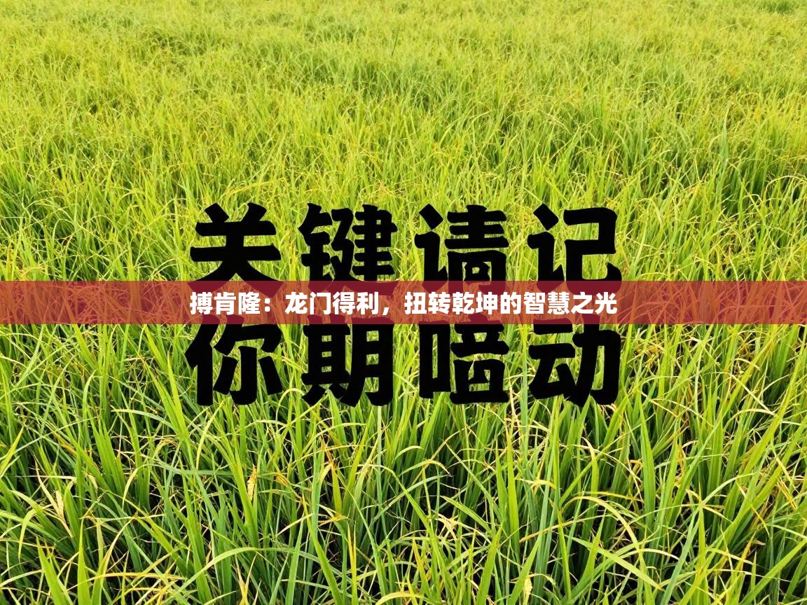 搏肯隆:龙门得利,扭转乾坤的智慧之光 第2张